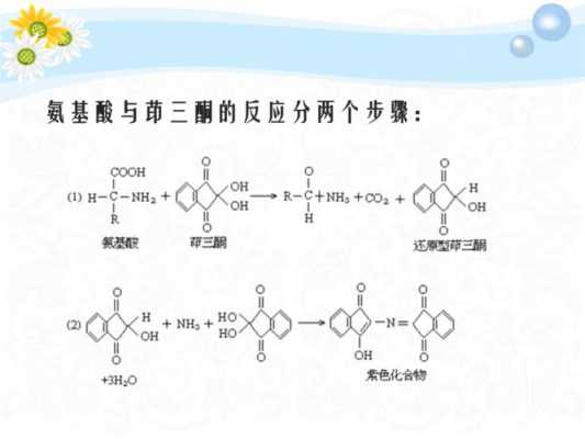 茚三酮遇蛋白质什么颜色（茚三酮与蛋白质反应颜色变化）