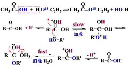 硝酸乙酯为什么不是酯（硝酸和乙酸乙酯）