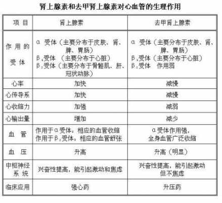 去甲肾上腺素受体是什么（去甲肾上腺素主要作用于什么受体）