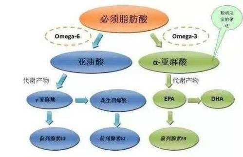 油酸为什么不能自聚（油酸为什么不饱和）