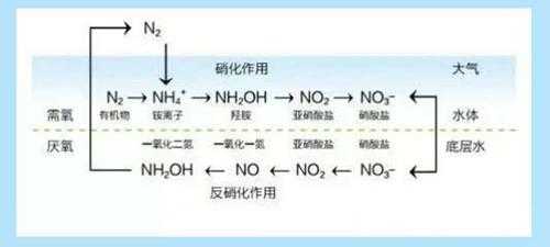 什么是硝化工艺危险品（硝化工艺危险特点）