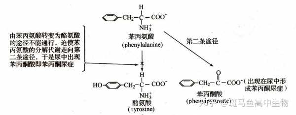 苯丙氨酸溶液用什么溶解（苯丙氨酸如何溶解）