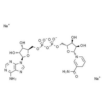 nanh2有什么用（nadh2）