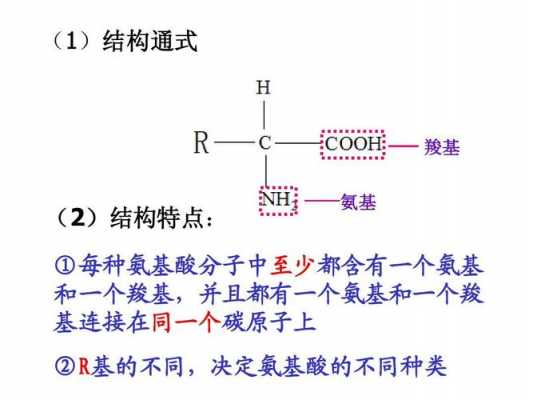 S和2个氨基相连叫什么（两个氨基怎么表示）