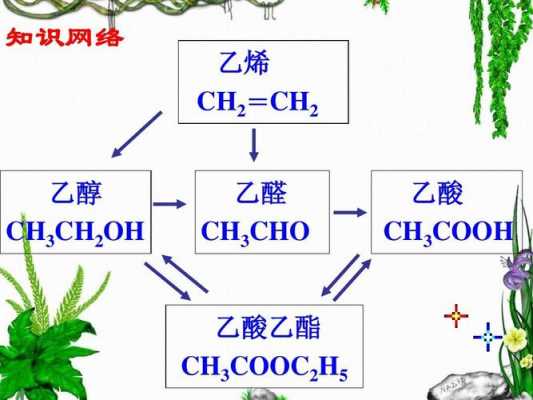 油与醋酸有什么关系（油与醋酸有什么关系图片）