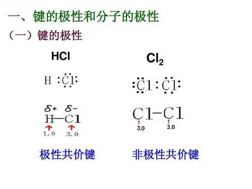 丙氨酸为什么是极性分子（丙氨酸的极性与谷氨酸的极性比较）