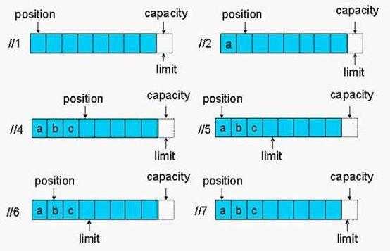 分子生物学中buffer是什么意思（buffer nio）