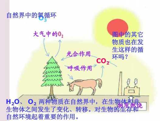 丁氧环为什么只有三个碳（丁氧环为什么只有三个碳原子）