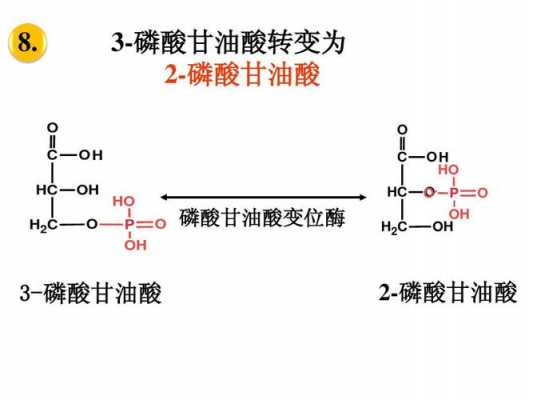 什么情况二磷酸甘油酸降低（二磷酸甘油酸的简写）