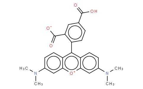 四乙基罗丹明呈现什么颜色（5羧基四甲基罗丹明）