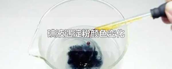 碘加水变成什么颜色（碘遇水变什么）