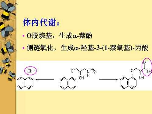 羟基烷基各是什么（羟基的烷基化）