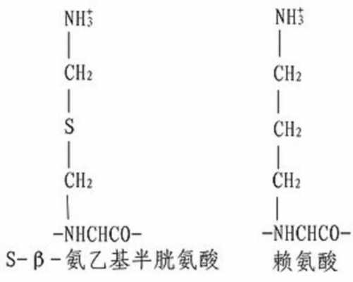 蛋白酶为什么不能分解自身（蛋白酶为什么不能水解自己）