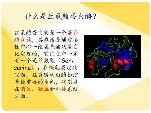 丝氨酸为什么能被磷酸化（丝氨酸为什么能被磷酸化解）