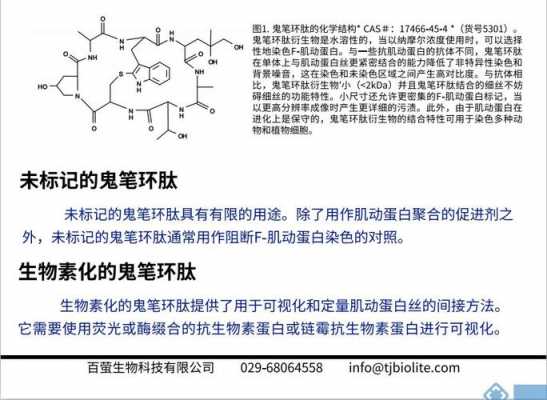 罗丹明鬼笔环肽用什么激发（鬼笔环肽使用方法）