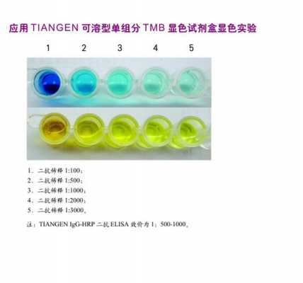 底物tmb是什么意思（底物浓度是什么意思）