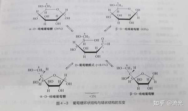 吡喃葡萄糖苷用什么溶解（β–d–吡喃葡萄糖）