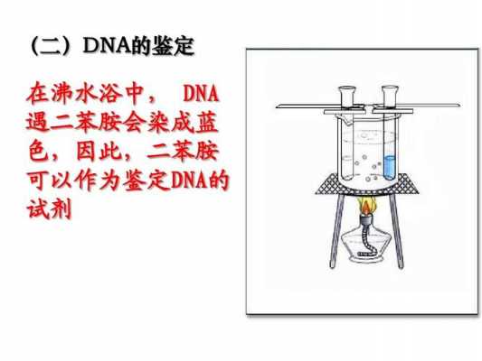 苯胺蓝跟苯胺什么关系（苯胺蓝怎么配）