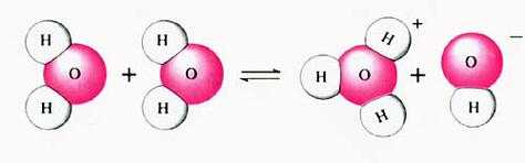 什么在水溶液里电离（水在溶液中的电离出氢离子吗）
