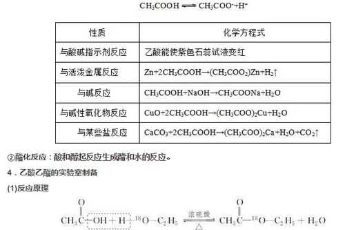 羧基的化学符号是什么意思（羧基化学性质）