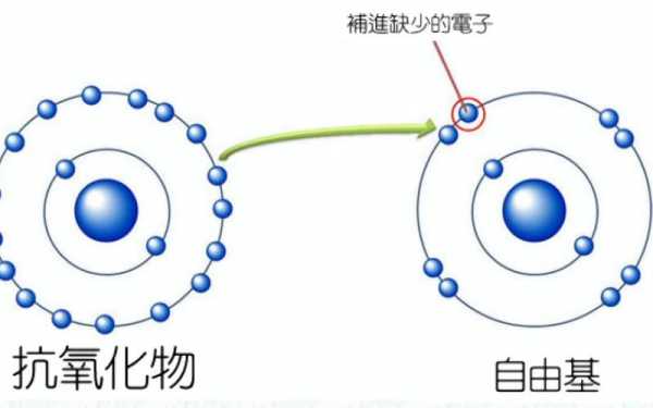 甲基自由基什么结构（甲基自由基是什么形状）