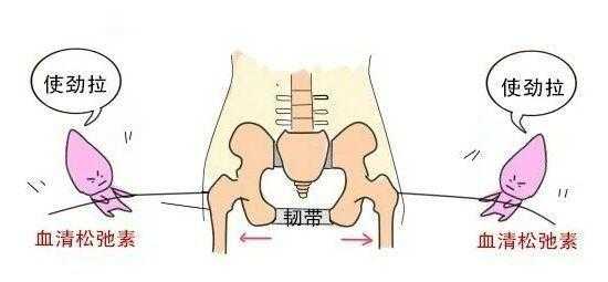 松驰素是什么意思（松驰什么意思?）