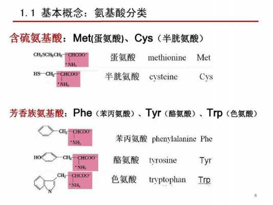 苯丙氨酸化合物是什么（苯丙氨酸是什么对人体有害吗）