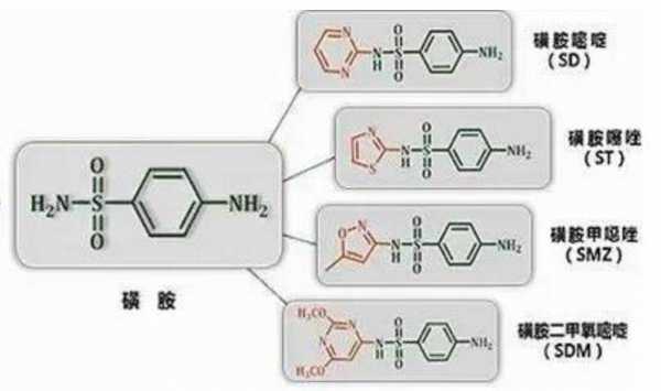 羟脲-磺胺是什么东西（羟脲磺胺怎么读）