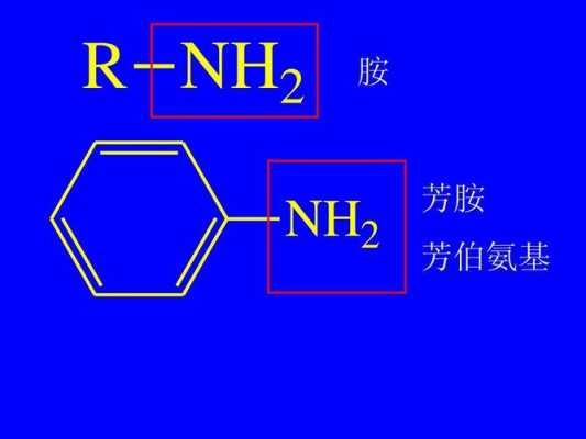 cbz-nh2是什么（nh2什么意思）