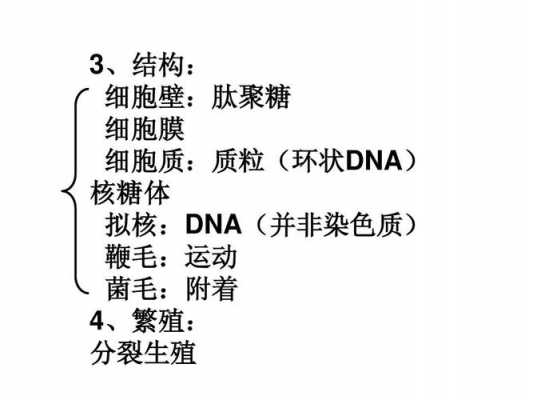 什么染色细胞质（什么染色细胞质最多）