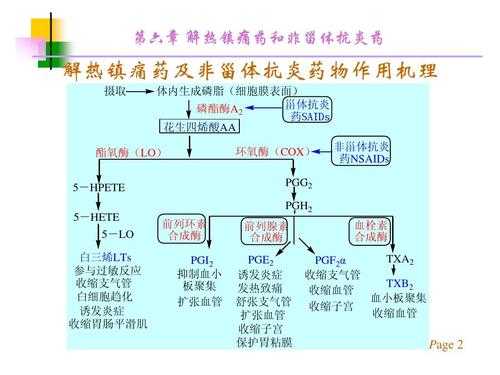 磷腺属于什么结构（磷性和腺性）