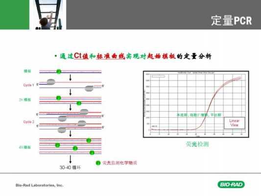 什么是荧光pcr法（荧光pcr法原理）