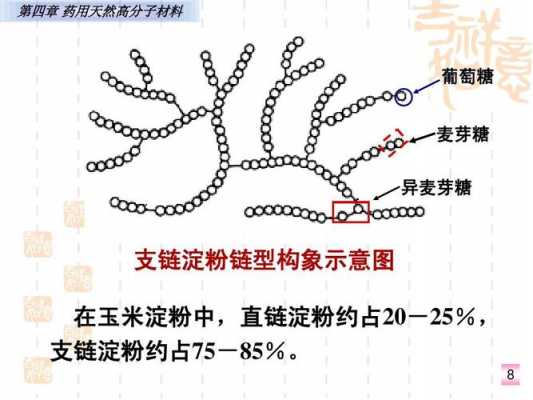 支链为什么比直链厉害（支链为什么这么甜）