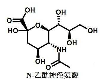 n乙酰神经氨酸主治什么（n乙酰神经氨酸结构式）