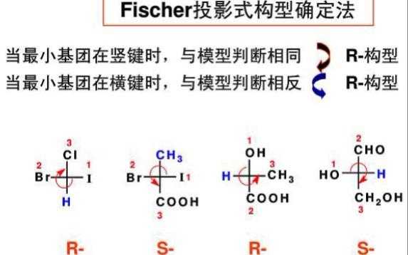 手性碳原子RS是什么（手性碳原子的s型和r型）