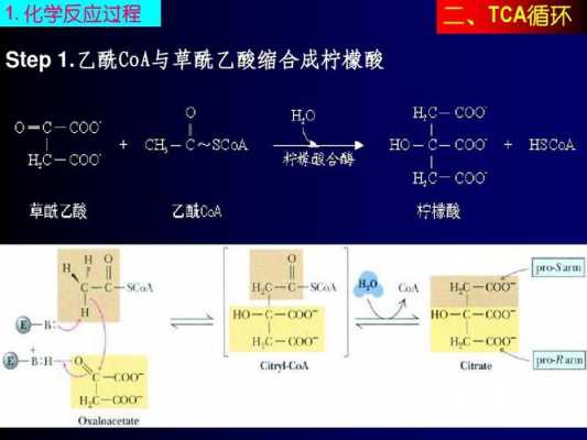 tca的化学名称是什么（化学中tcd）