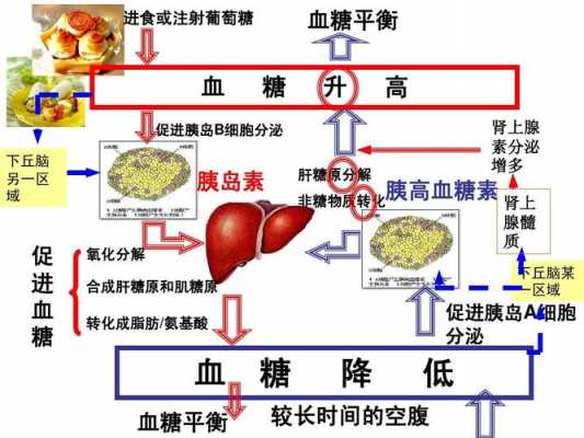 促胰液素通过什么运输（促胰液素进入细胞内吗）