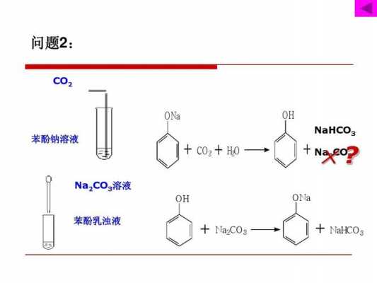 苯酚钠和什么发生反应（苯酚钠和什么发生反应现象）