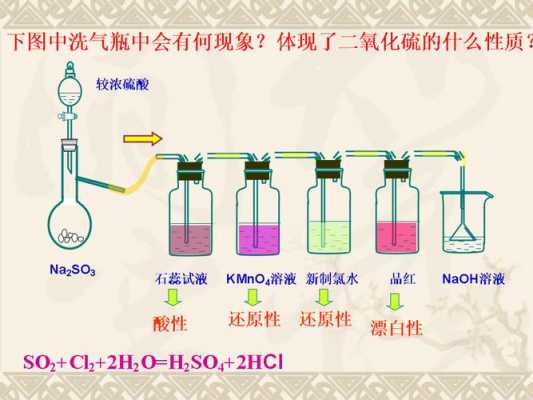 二氧化碳的固定产物是什么（二氧化碳的固定产物是什么意思）