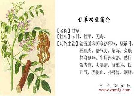 甘草主含什么化学成分（甘草的化学成分与药理作用）