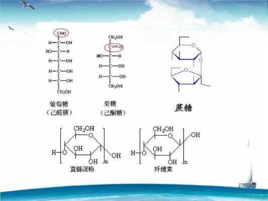 糖苷元是什么意思（糖苷和苷元）