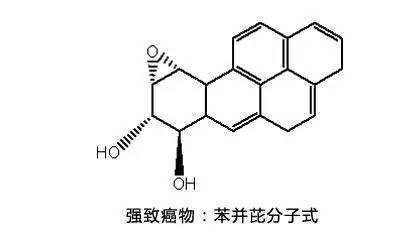 苯并芘化学结构由什么组成（苯并芘化学结构式）