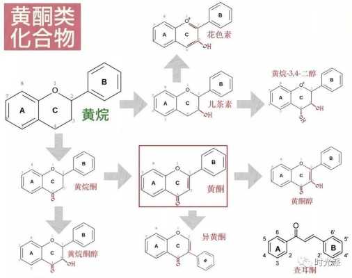 黄胴是什么6（黄酮有什么作用?）