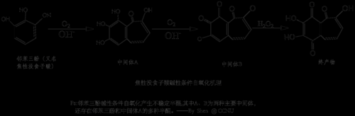 酚氧化产物是什么颜色（酚的氧化现象及解释）