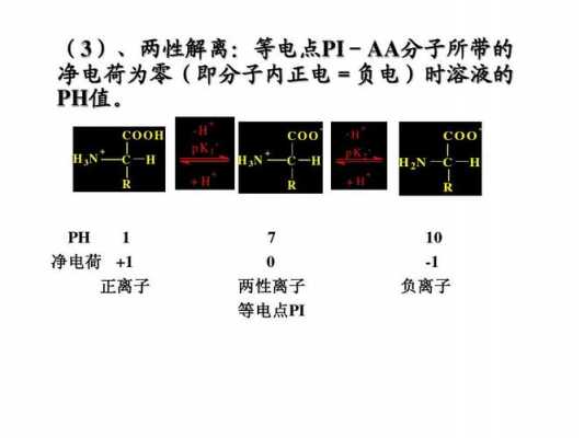 为什么赖氨酸可提供电荷（赖氨酸为什么带正电荷）