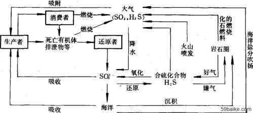 四氢噻唑中硫会被什么氧化（四氢噻唑中硫会被什么氧化而成）