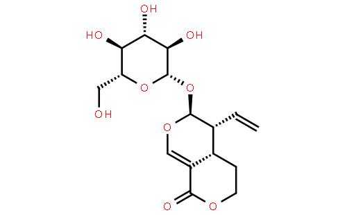 獐牙菜苷是什么化合物（獐牙菜苷是什么萜）