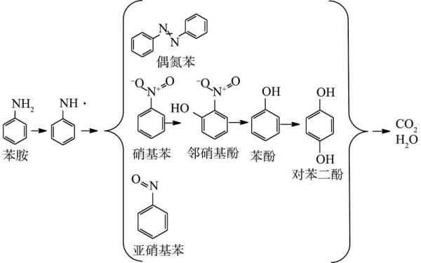 苯胺分解产物有什么（苯胺热分解产物）