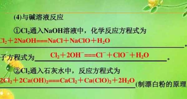 次氯酸钙蒸干生成什么（次氯酸钙溶液蒸干所得溶质）