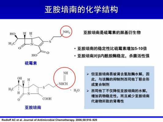 双保护亚胺培南是什么（亚胺培南的作用机制）